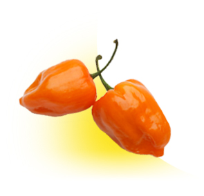 Hỏi cay không? Habenero
